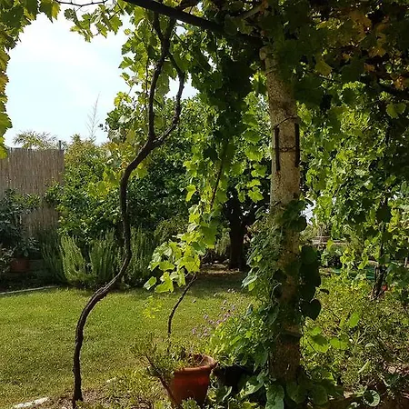 Πανσιόν Vjera Ντουμπρόβνικ